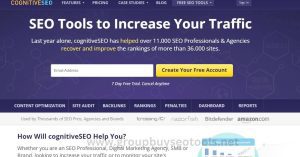 CognitiveSEO Group Buy