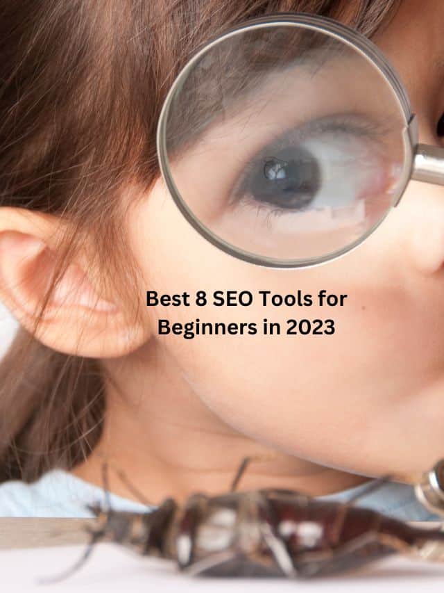 Best 8 SEO Tools for Beginners in 2023
