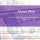 What is WooCommerce