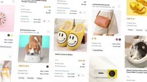 Video Thumbnail: PPSPY 2.0: Track Winning Product 10x Profitable with AI