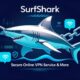Surfshark Group Buy
