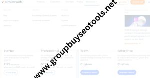 SimilarWeb Review