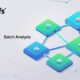 Ahrefs batch analysis