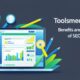 Toolsmeen review Benefits and drawbacks of seo tools