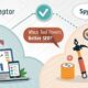 Content Raptor vs SpyFu – Comparison of AI content generation