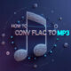 How to Convert FLAC to MP3
