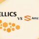 Sellics AMZ Tracker