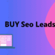 Buy SEO Leads