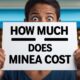 How much does minea cost