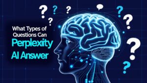 What Types of Questions Can Perplexity AI Answer